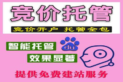 SEM托管服务成功案例背后的故事